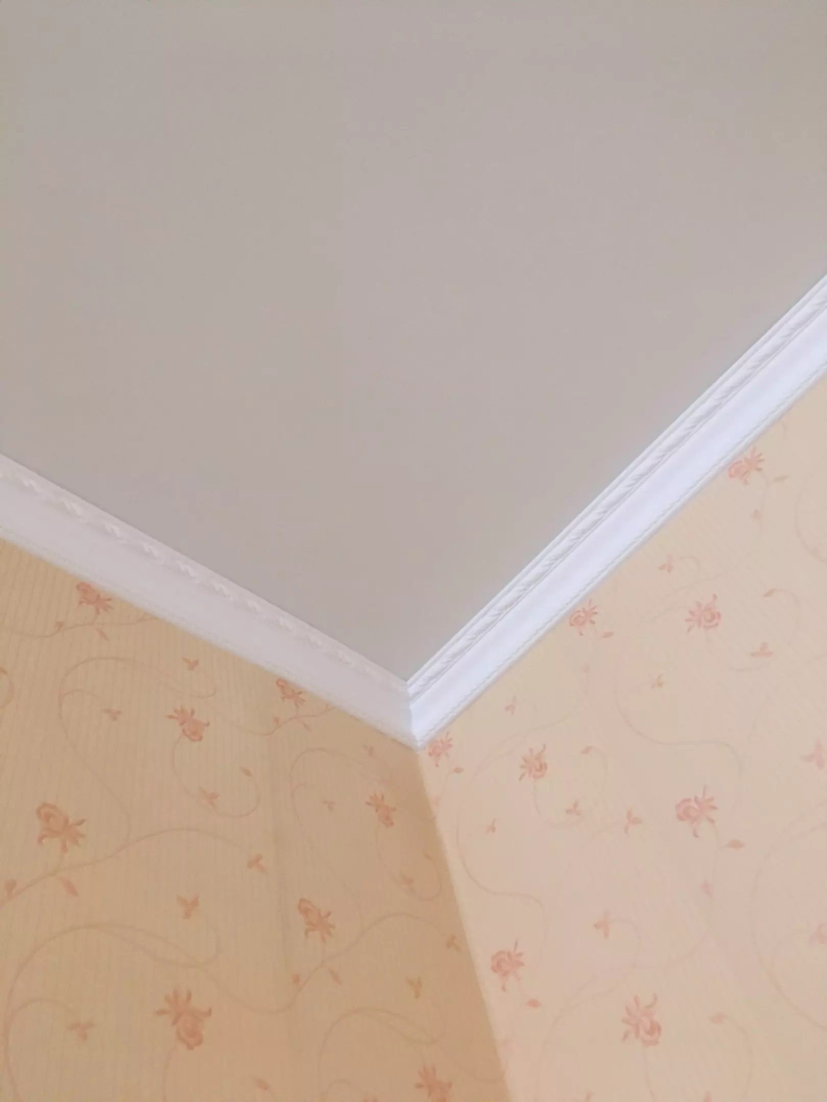 Новошахтинск, Ленинградская, 5в, фото 3