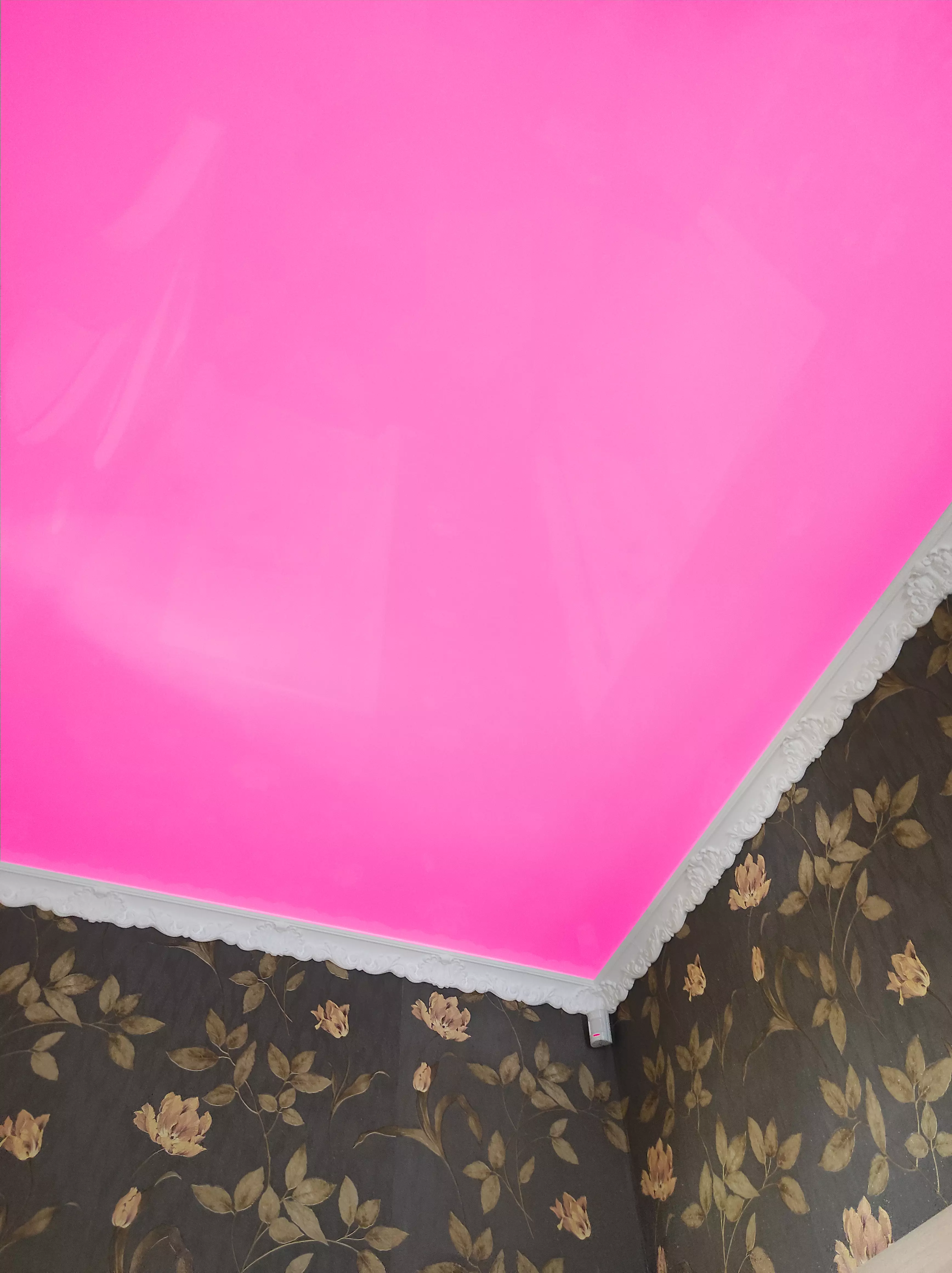 Рязань, Гагарина, 25, фото 2