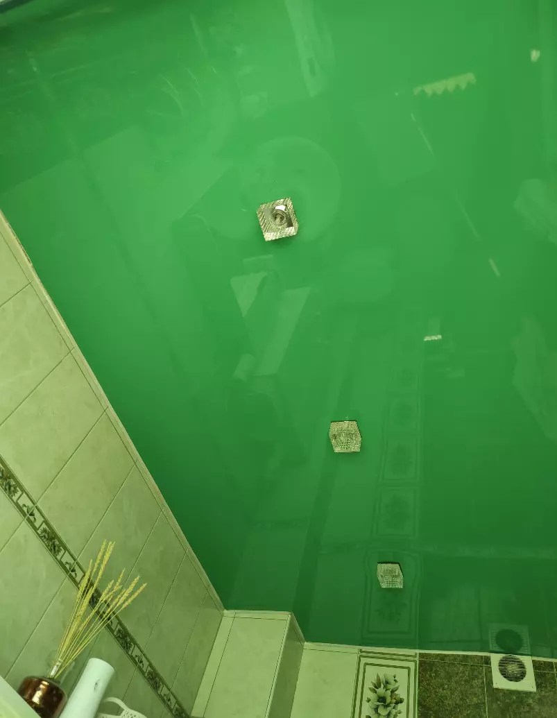 Ростов-на-Дону, проспект Чехова, 56, фото 1