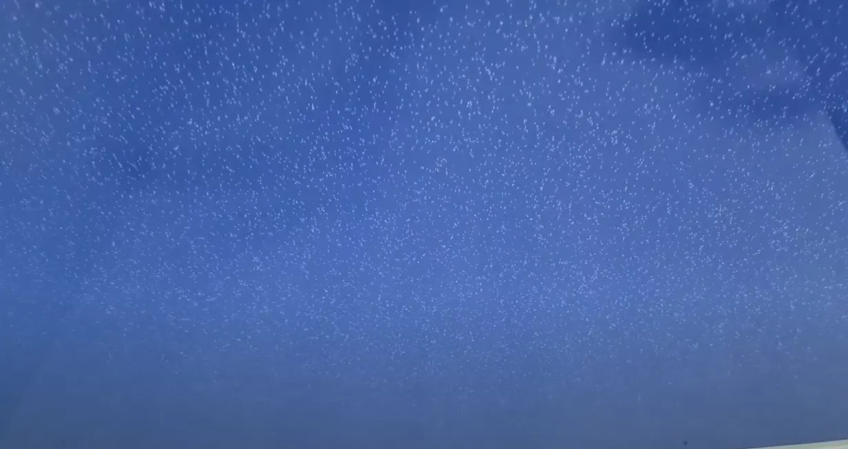 Новошахтинск, , фото 3