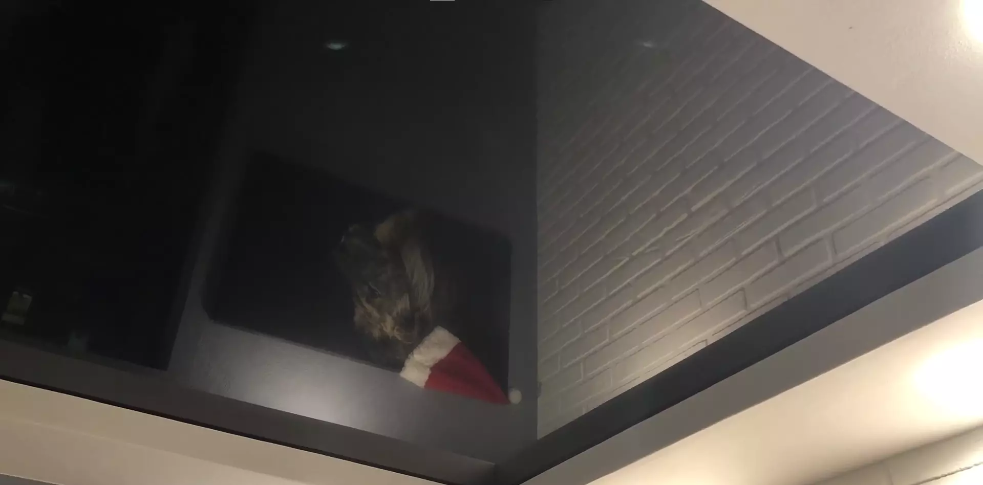 Новошахтинск, , фото 3